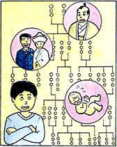 墓相学・家系図